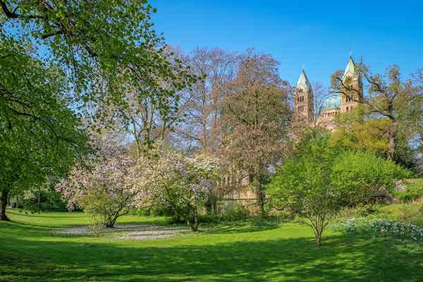 Schiffahrt Rheinfahrt Pfaelzerland Speyer 05