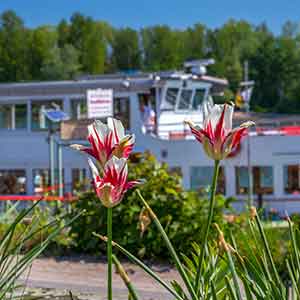 images/galerie-300/schiffrundfahrt-speyer-pfaelzerland-altrheinfahrten-06.jpg#joomlaImage://local-images/galerie-300/schiffrundfahrt-speyer-pfaelzerland-altrheinfahrten-06.jpg?width=300&height=300